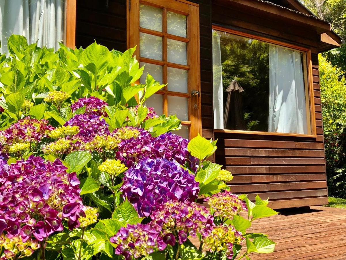 Cabanas Monte Verde Pucón Εξωτερικό φωτογραφία